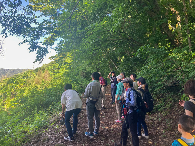 フィールドワーク